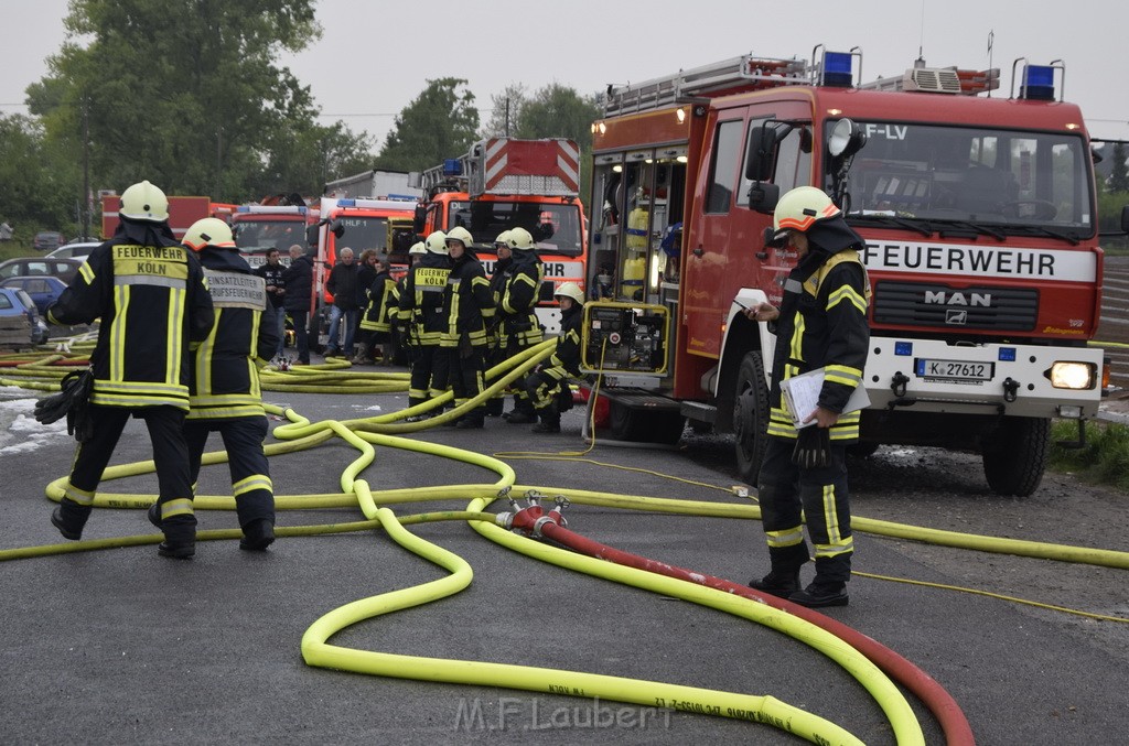 Feuer 3 Rheinkassel Feldkasseler Weg P1670.JPG - Miklos Laubert